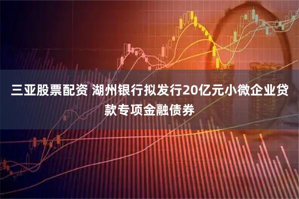 三亚股票配资 湖州银行拟发行20亿元小微企业贷款专项金融债券