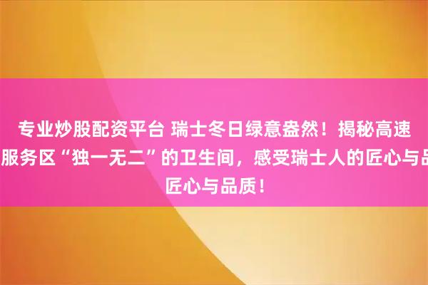 专业炒股配资平台 瑞士冬日绿意盎然！揭秘高速公路服务区“独一无二”的卫生间，感受瑞士人的匠心与品质！