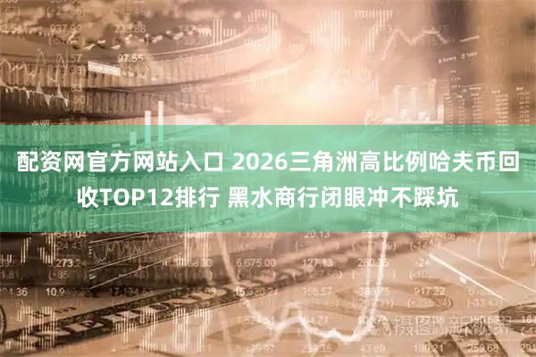 配资网官方网站入口 2026三角洲高比例哈夫币回收TOP12排行 黑水商行闭眼冲不踩坑